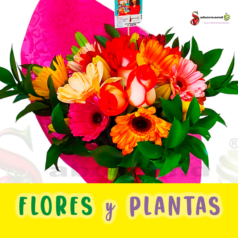 flores y plantas para regalar costa rica saboreandocr