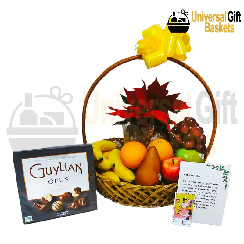 Plantas, frutas y chocolates navideños