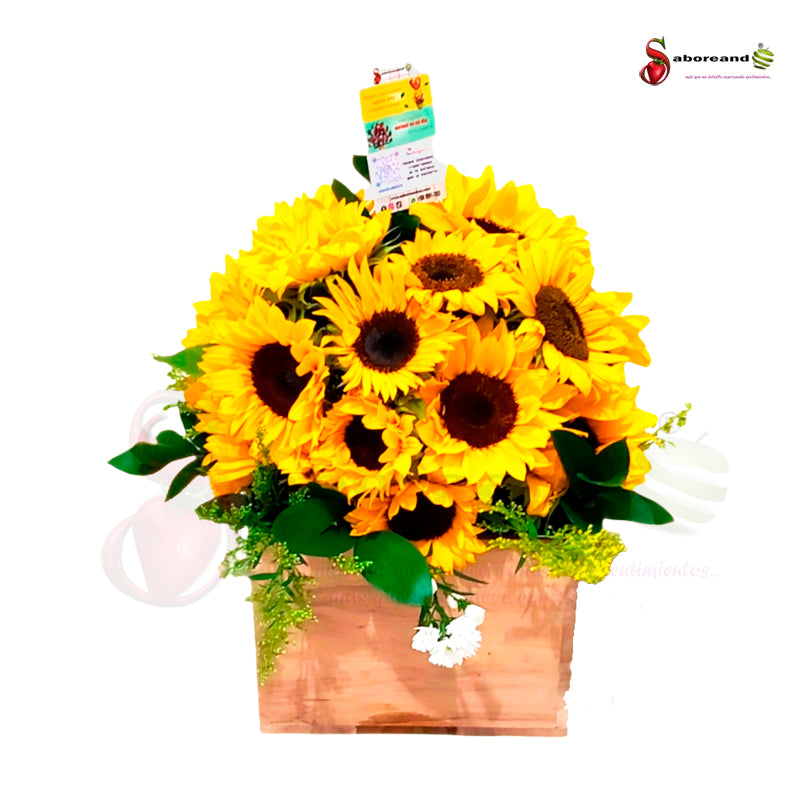 caja de madera con 24 girasoles en costa rica